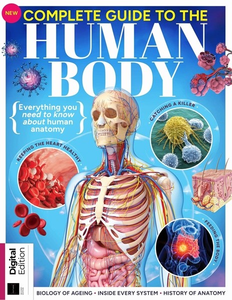 Complete Guide To The Human Body 2nd Edition 2024