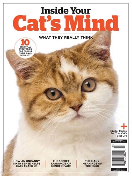 Inside Your Cat's Mind Issue 3