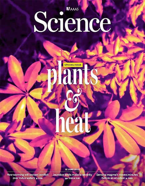 Science - Issue 6752 Volume 388 12 June 2025